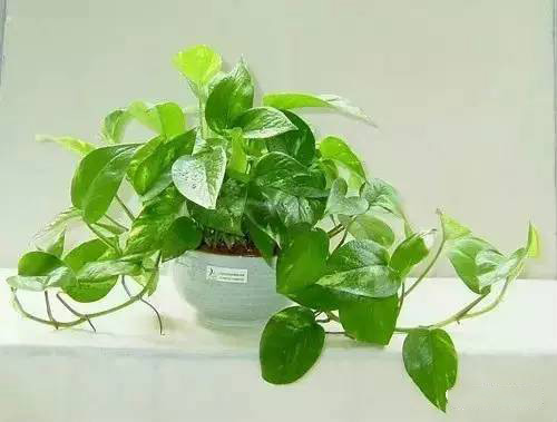 乾港集團(tuán) 乾港集團(tuán)